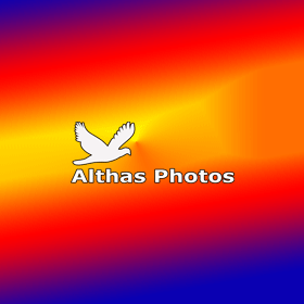 Althas Photos